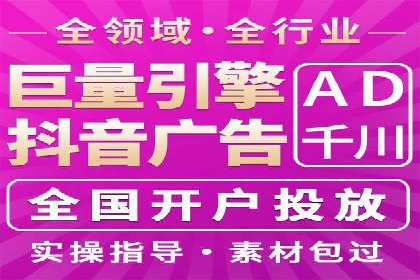 专业sem竞价托管服务，案例解析提升广告效果